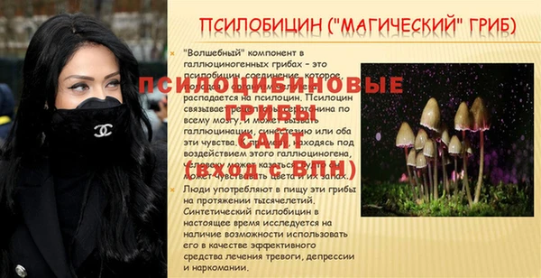 спиды Абинск