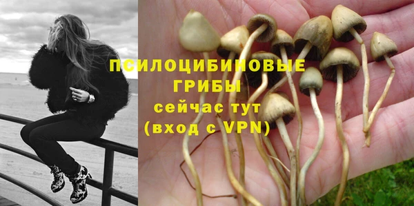 спиды Абинск
