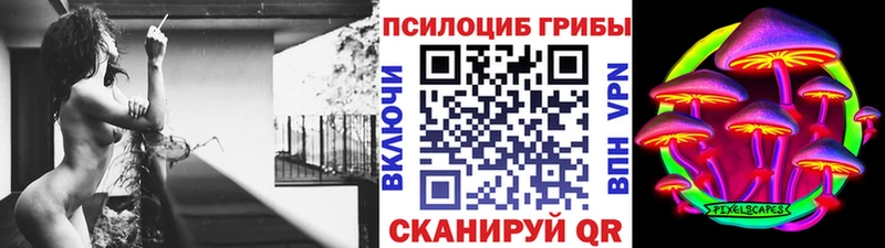 Галлюциногенные грибы мухоморы  omg   Чита  что такое наркотик 